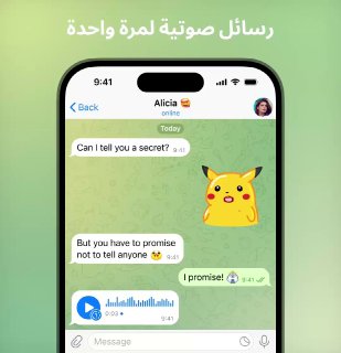 رسائل صوتية ومرئية لمرة واحدة