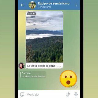 Ajustes de autodescarga de multimedia
