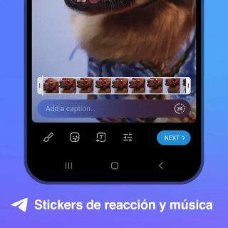 Stickers de reacción en historias.