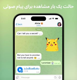 پیام‌های صوتی و ویدیویی یک بار پخش‌شونده
