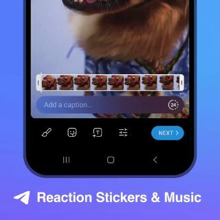 Autocollants de réaction dans les stories.