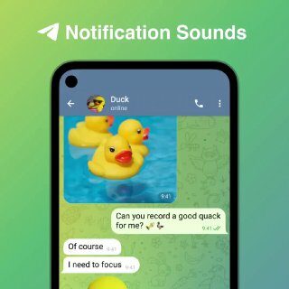Bunyi Notifikasi