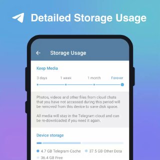 Detailed Storage Usage. Detailed Storage Usage.