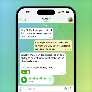 Trim Voice Messages.